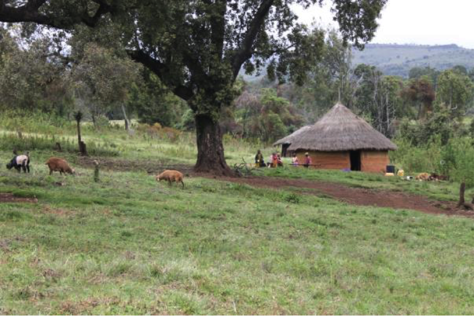 L’expérience des Ogiek en matière d’aires protégées au Mont Elgon, Kenya : vers une conservation fondée sur les droits