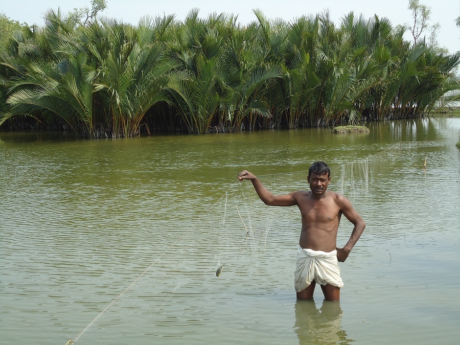 Pratiques d’adaptation et cartographie de la vulnérabilité et de la résilience et pratiques d’adaptation des communautés dans les mangroves des Sundarbans, Banglades