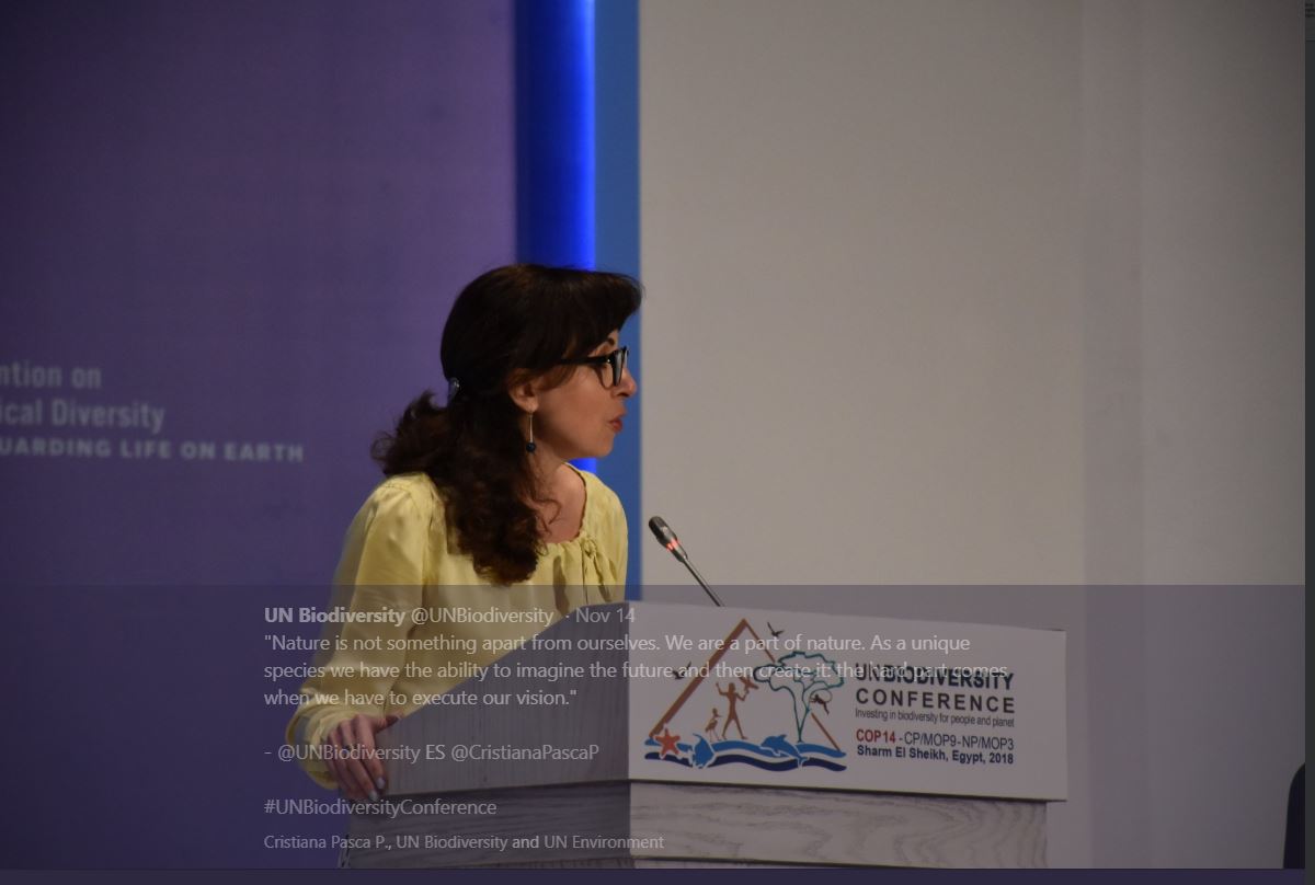 Opening remarks from CBD Executive Secretary, Cristiana Pașca Palmer, highlight the crucial connection of nature and culture