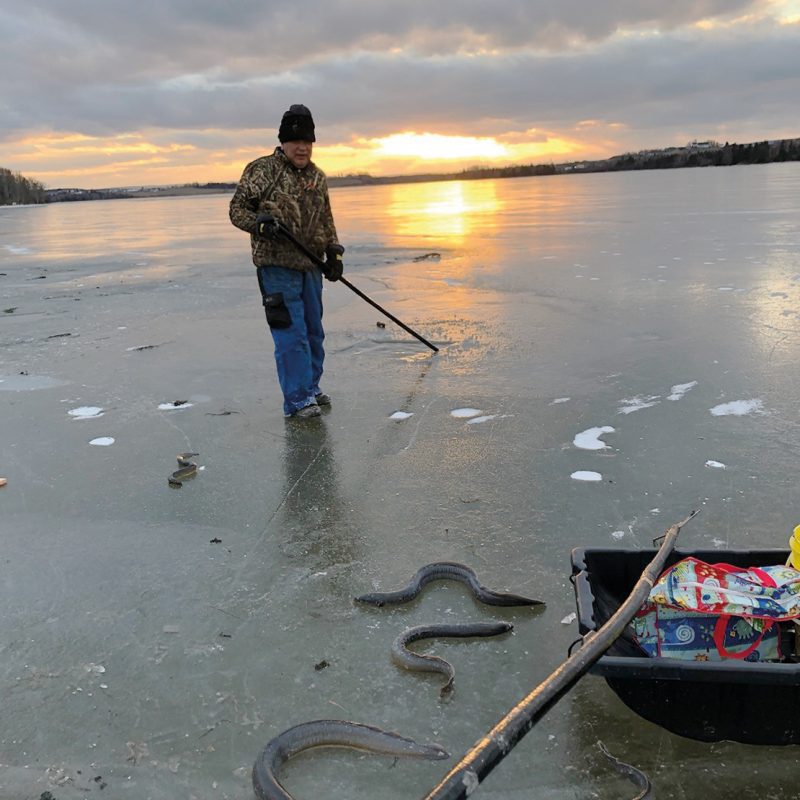 A traditional Mi’kmaw fisher from Pictou Landing, Mi’kmaq territory. Credit: Amy Moulton.