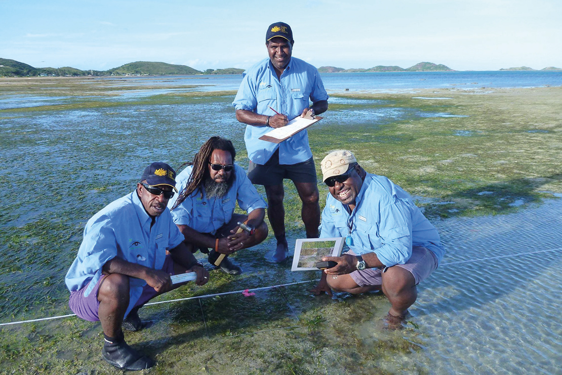 El monitoreo de hierbas marinas en el Estrecho de Torres, Australia