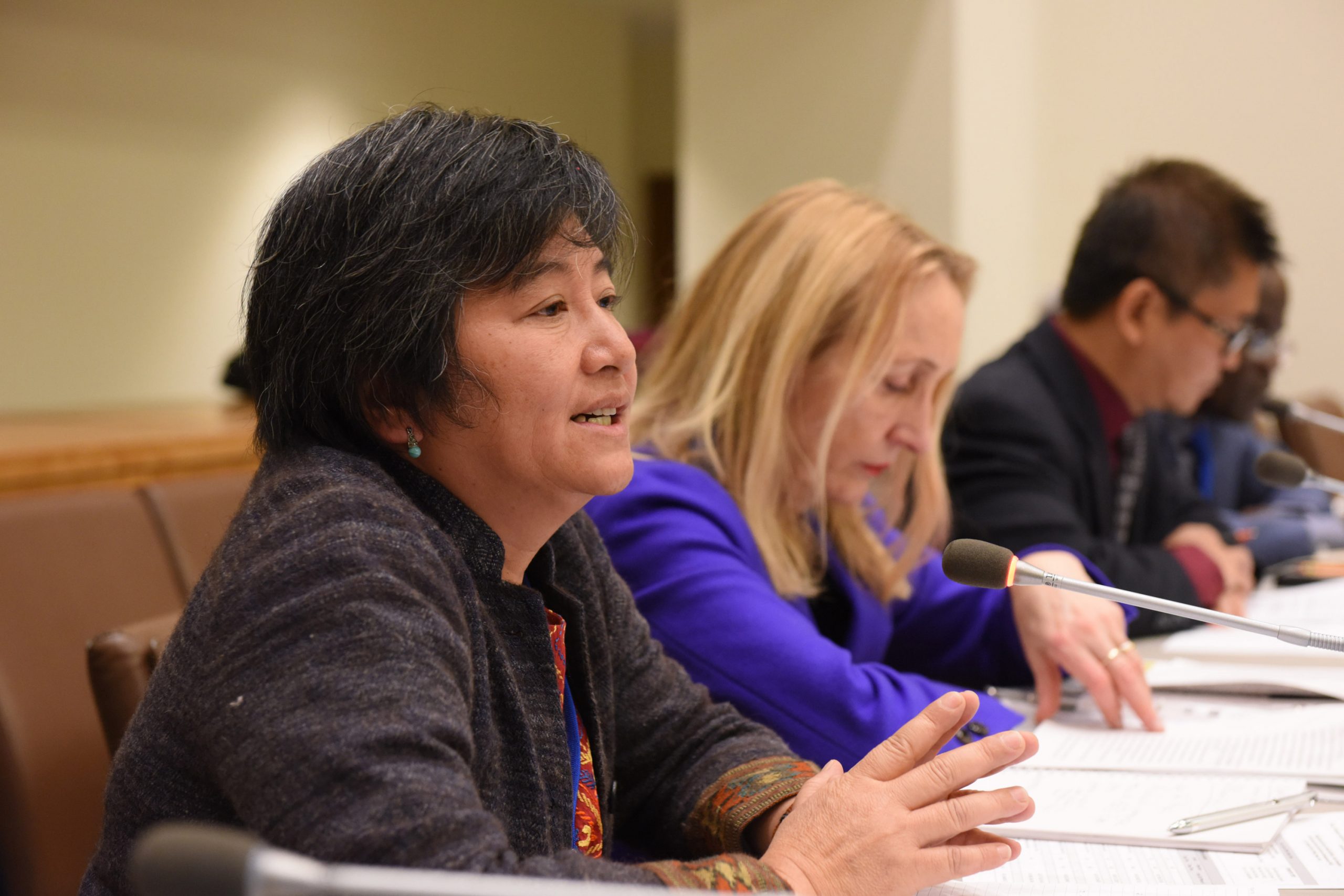 Joan Carling du Grand groupe des peuples autochtones pour le développement durable s’exprime lors d’un événement sur le genre et les ODD. Photo : ONU Femmes.