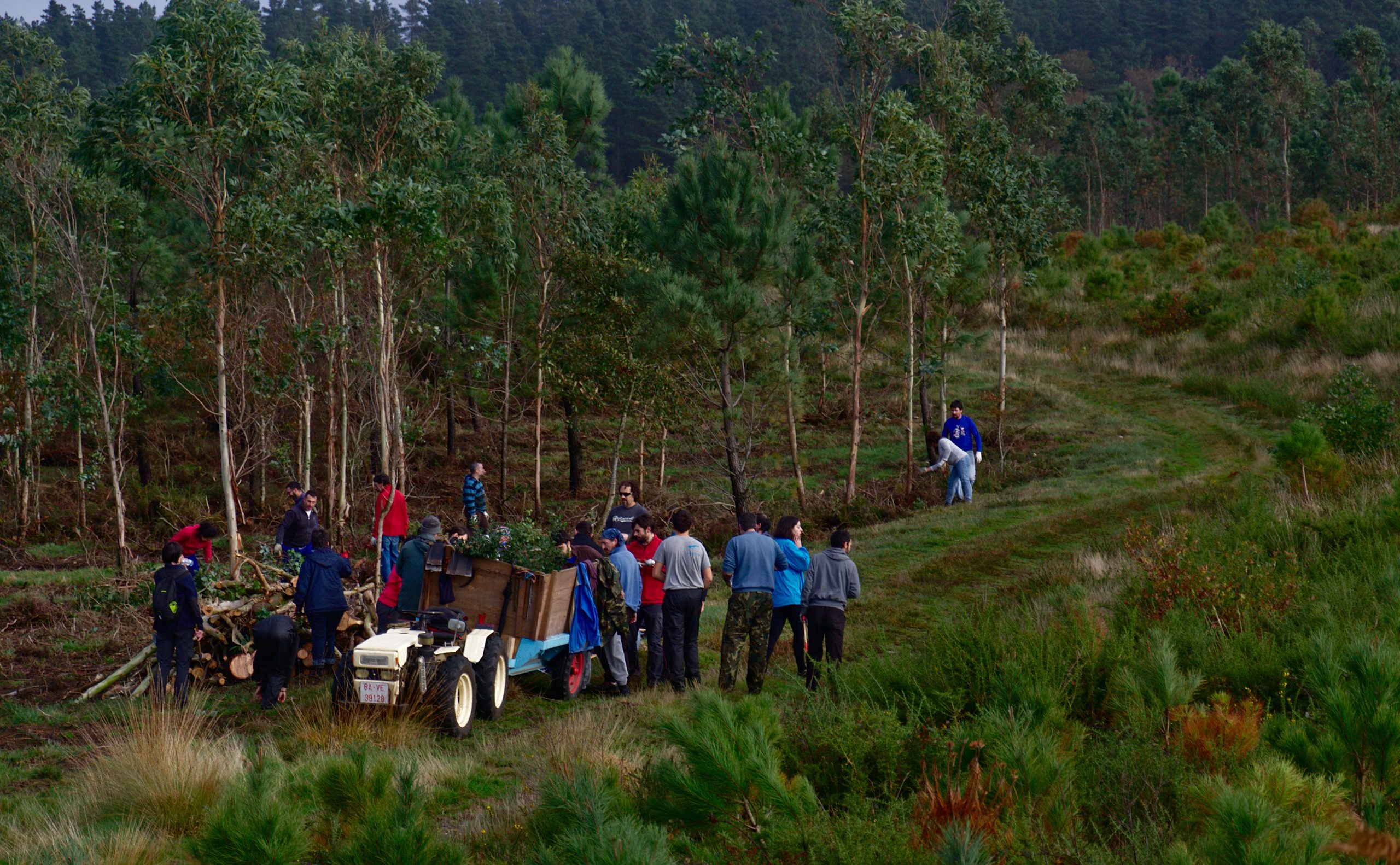 Climate change adaptation: Restoring community common lands in Galicia, Spain
