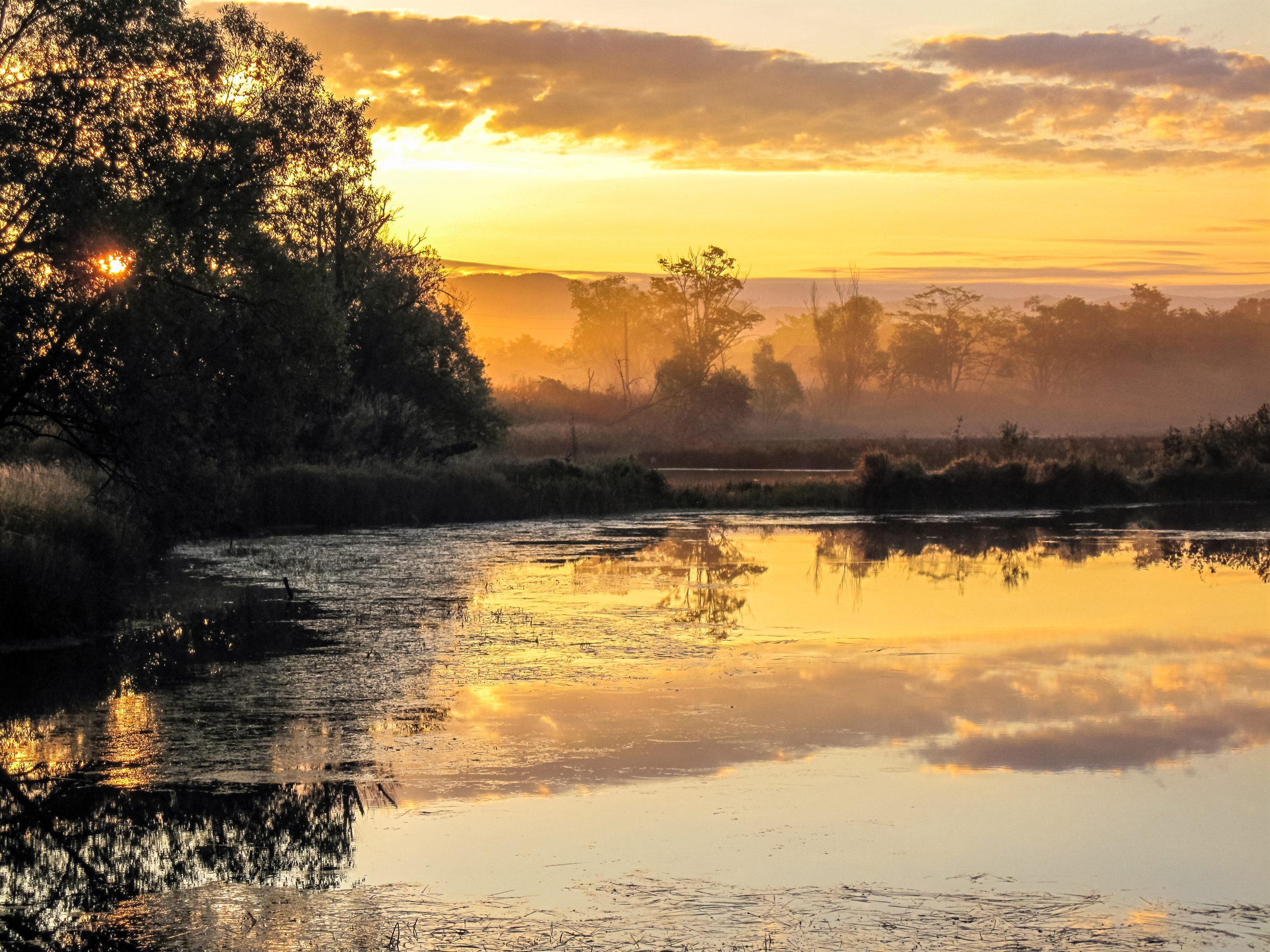 sunset and mist over river and trees