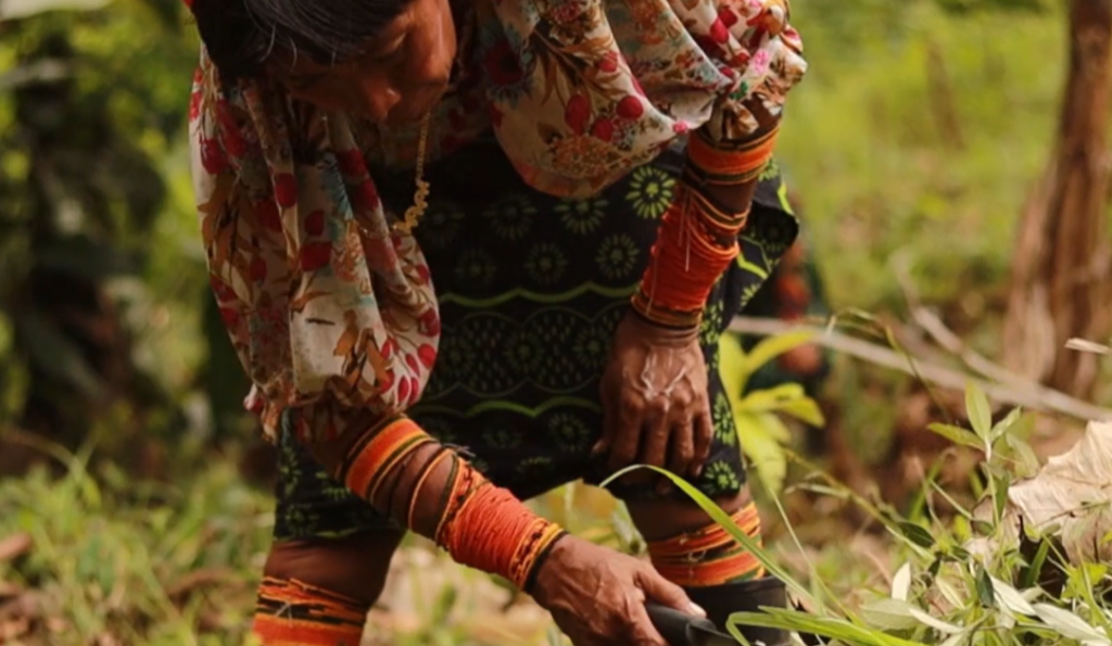 woman cutting crops