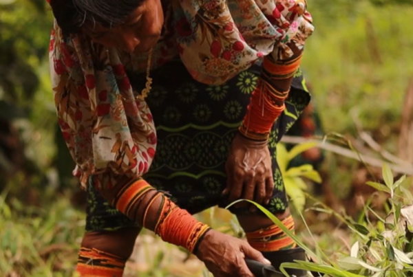 woman cutting crops