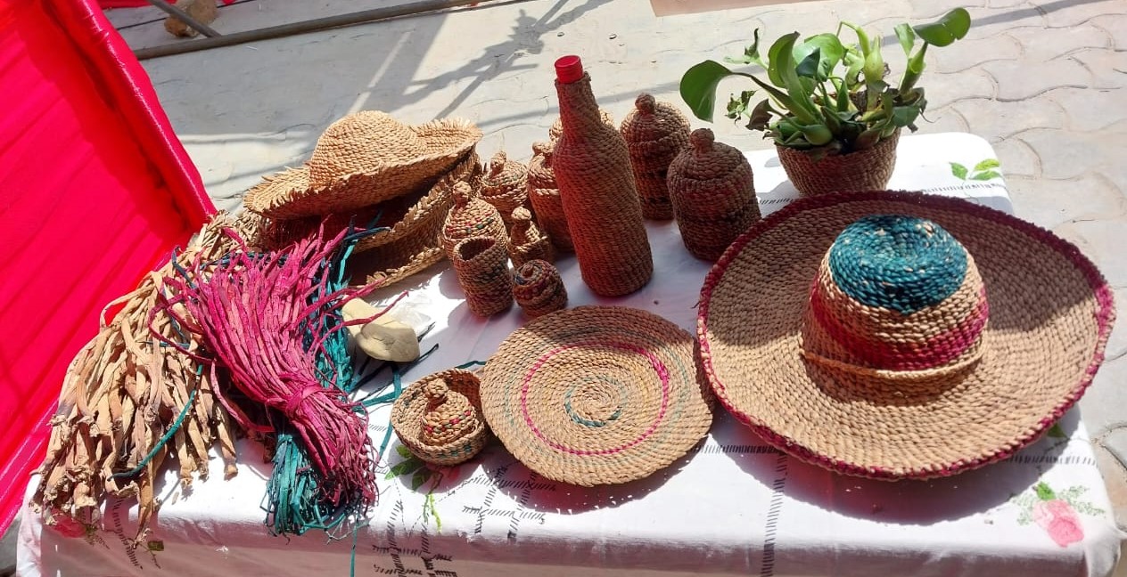 products made with water hyacinth