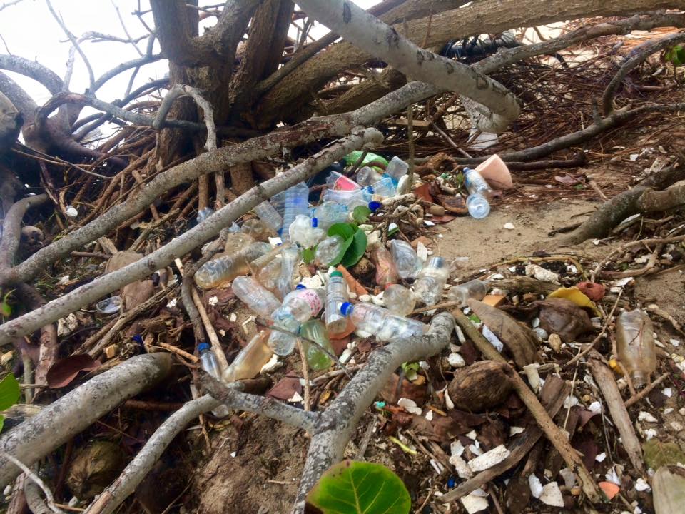 rubbish on a beach