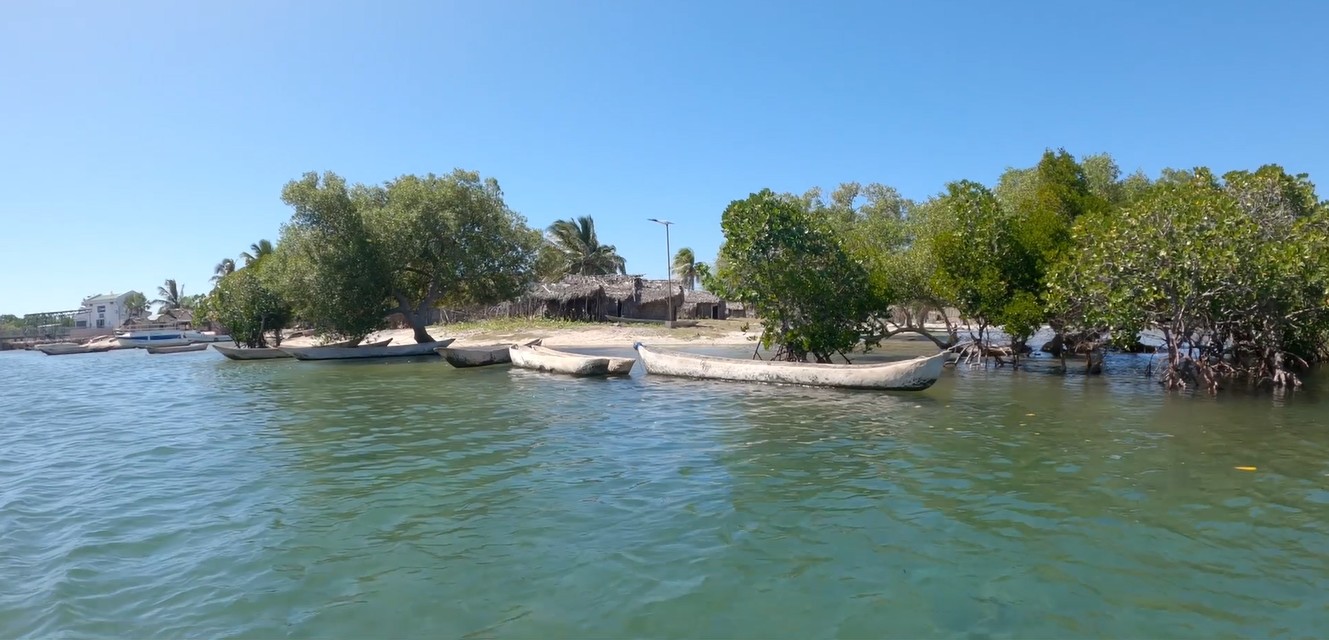 Protected: Madagascar: bottom-up conservation making a real impact on land and sea