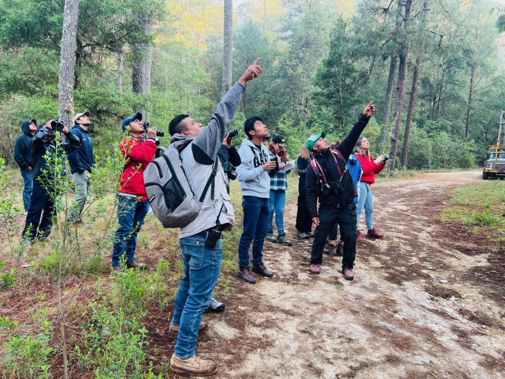 Inter-community experience exchange for bird monitoring, between La Trinidad Ixtlán, Capulálpam de Méndez Santa María Jaltianguis and San Miguel Abejones, in La Trinidad Ixtlán’s Forest