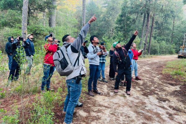 ntercambio de experiencias entre comunidades para el monitoreo de aves, entre La Trinidad Ixtlán, Capulálpam de Méndez, Santa María Jaltianguis y San Miguel Abejones, en el bosque de La Trinidad Ixtlán