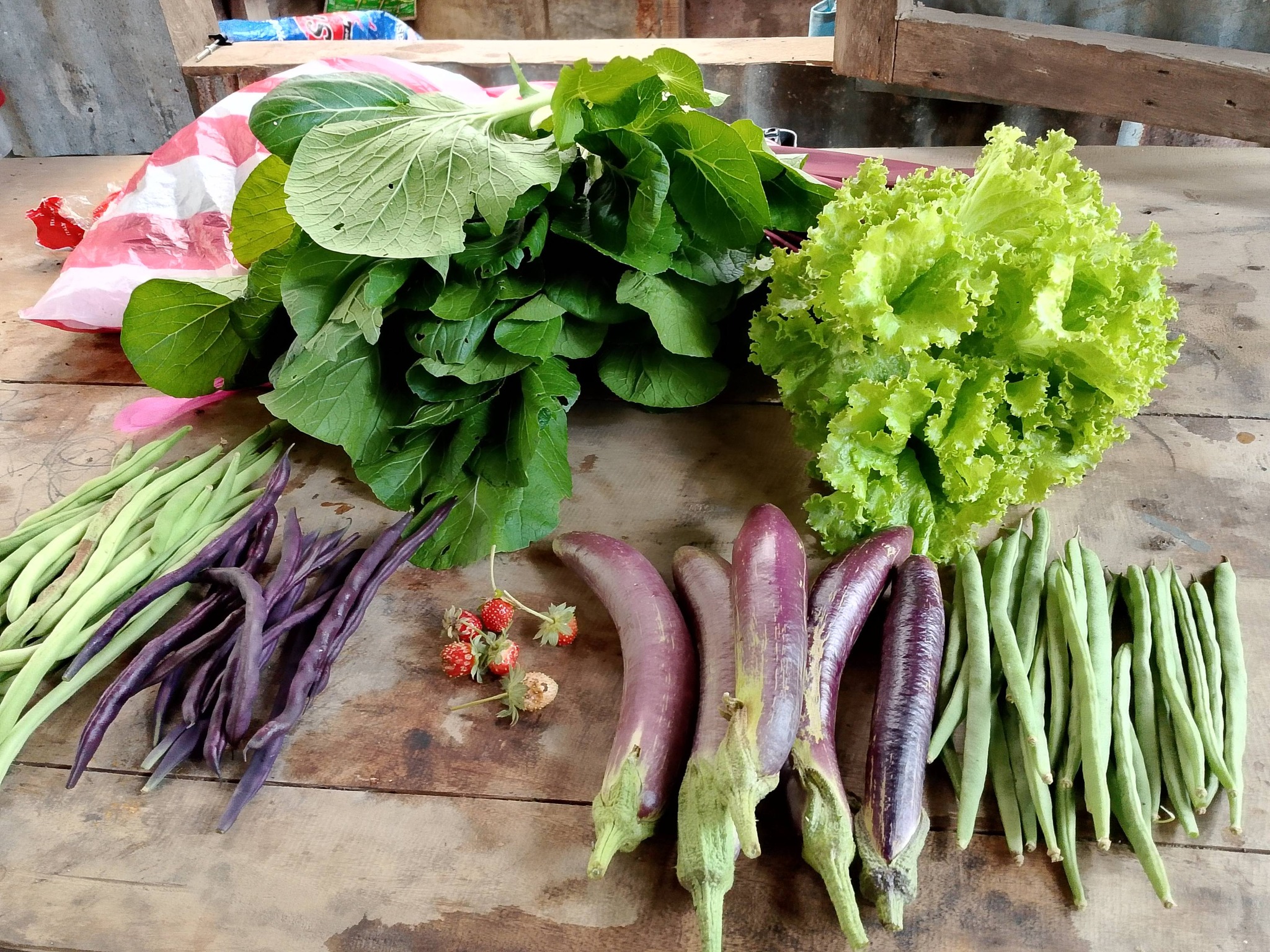 Joy, membre de l’association des jardiniers amateurs de Baëng, partage cette photo de sa récolte fraîche provenant de son ba-ëng à Happy Hollow, à Baguio City