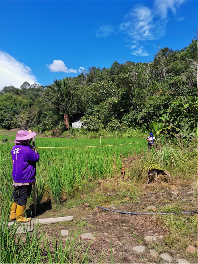 Mujeres de la comunidad que realizan un seguimiento de los recursos agrícolas y de la calidad del agua como parte de las iniciativas locales de gestión responsable del ecosistema y de seguimiento comunitario