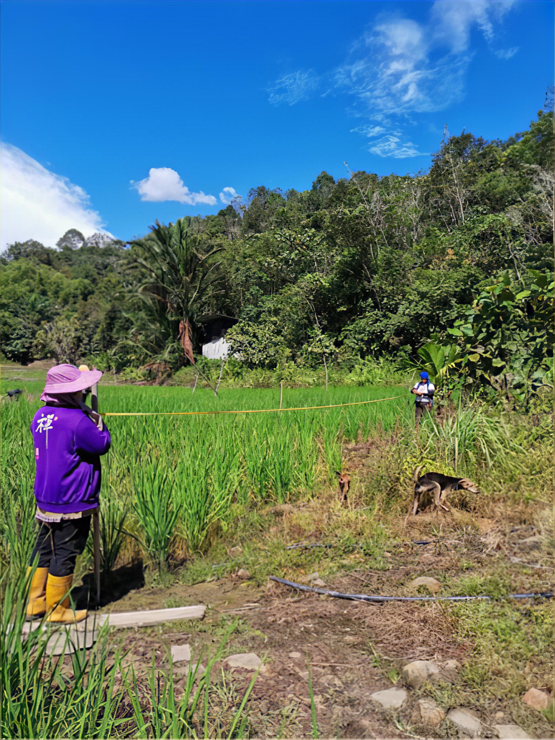 Women community members monitoring agricultural resources and water quality as part of local ecosystem stewardship and community-based monitoring efforts