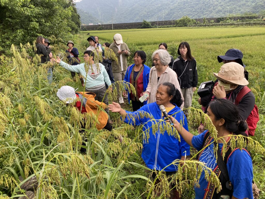 Elders and youth come together to introduce the traditional crops and hillside farming wisdom of the Bunun people to visiting university groups