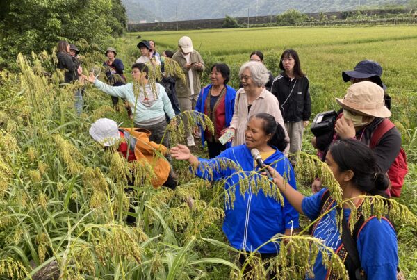 Los mayores y los jóvenes se reúnen para dar a conocer los cultivos tradicionales y los conocimientos sobre la agricultura de ladera del pueblo Bunun a los grupos universitarios que visitan la zona