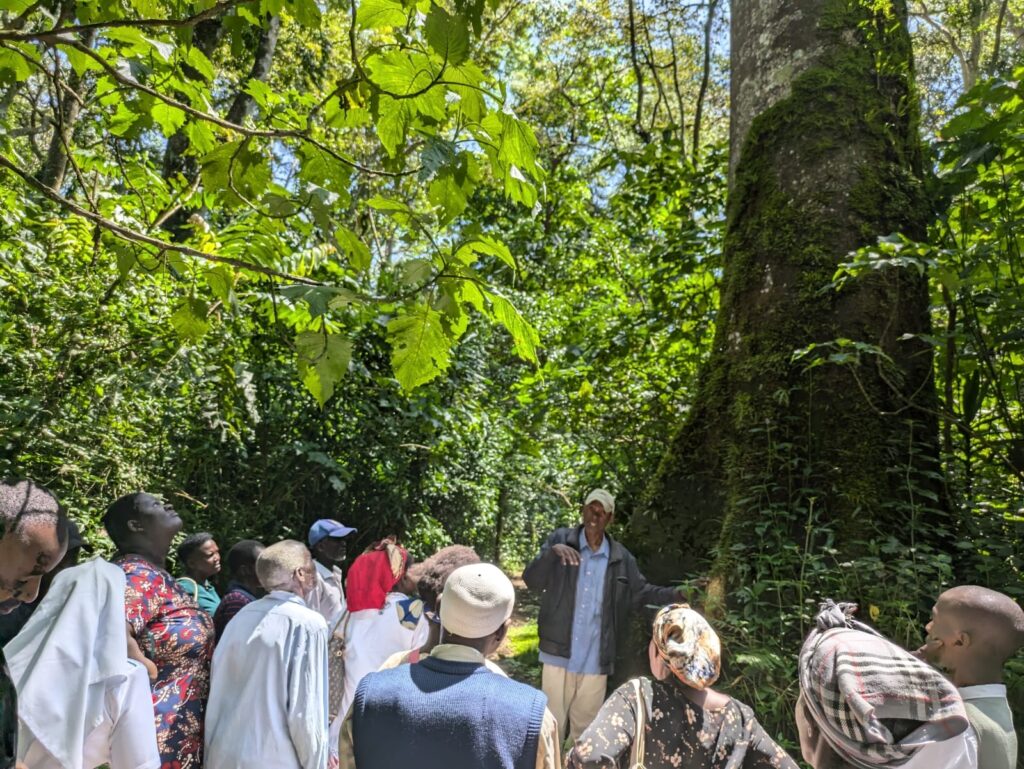 Community members learn about the region’s forests