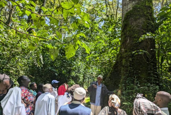 Community members learn about the region’s forests