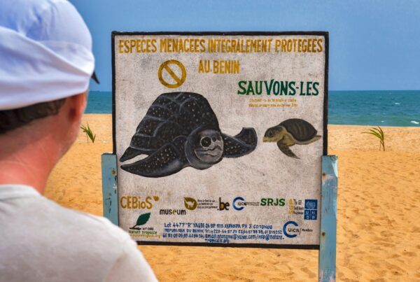 Un letrero en la playa de Gran-Popo, Benín, crea conciencia sobre la importancia de proteger a las tortugas marinas