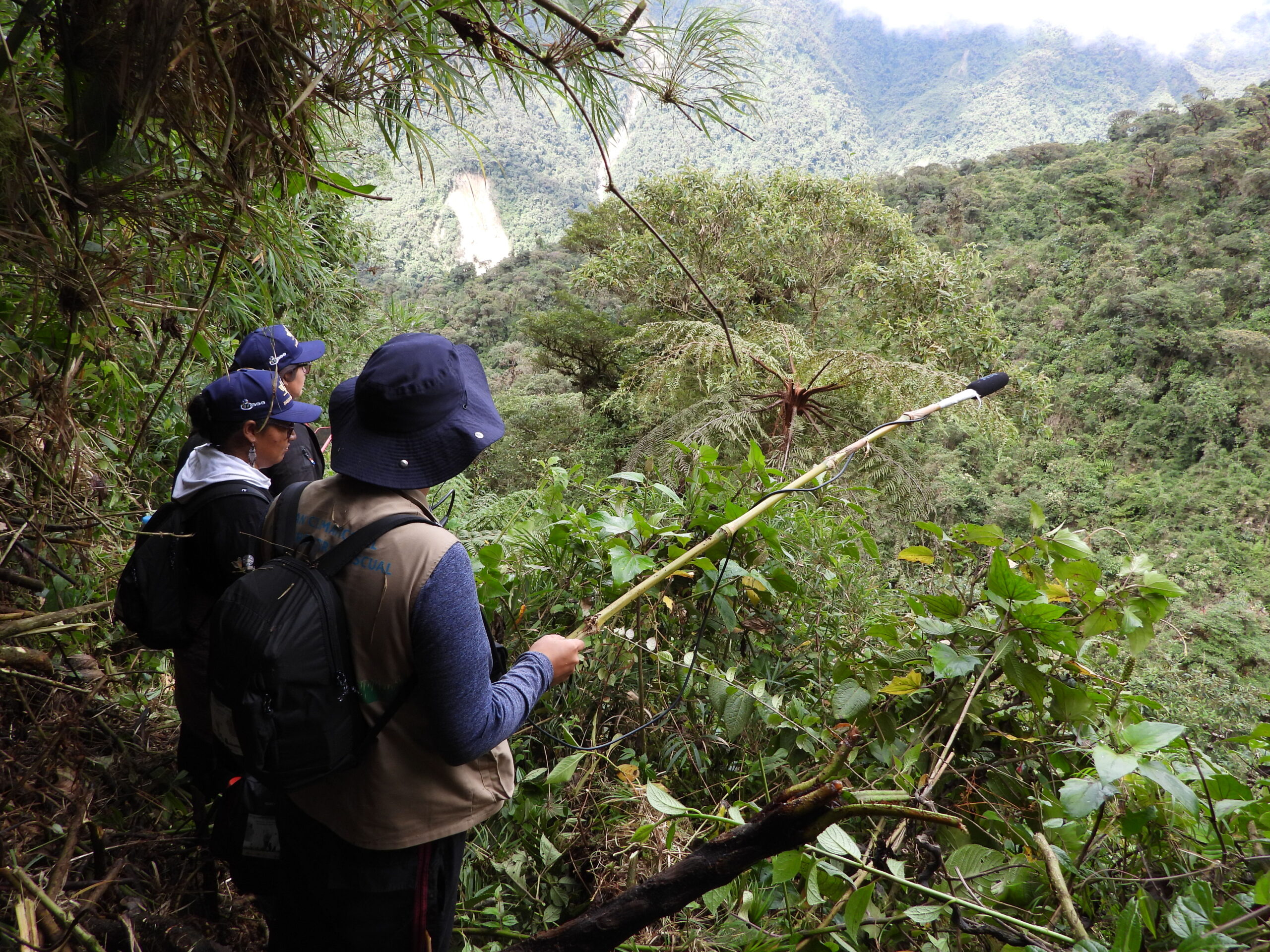 Participatory environmental monitoring