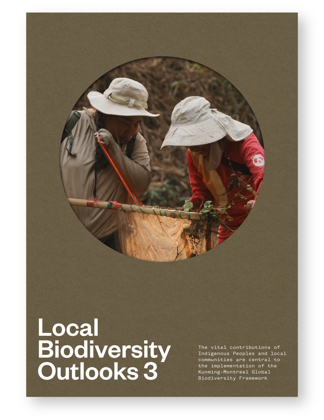Local Biodiversity Outlooks 3