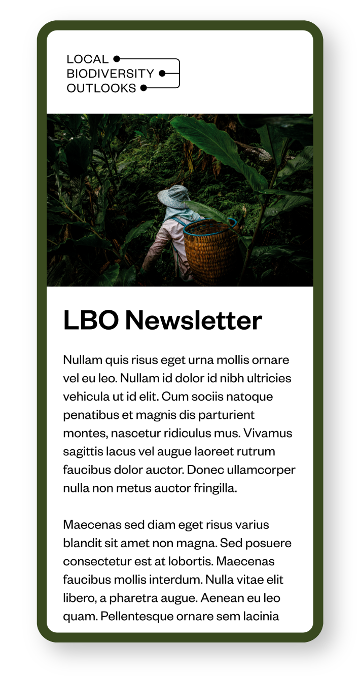 LBO Newsletter