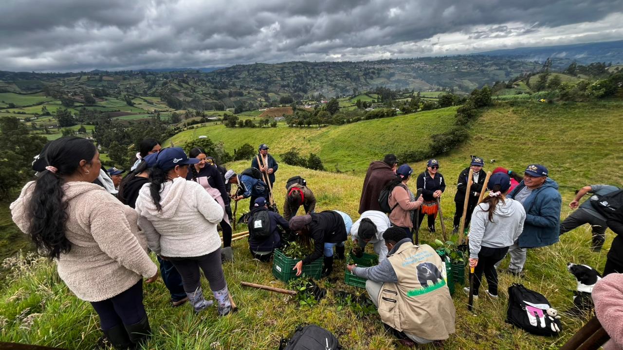 Collective work for food security